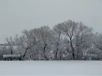 DSC03001.webp
