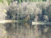 9B9F7DDE-F513-4B61-8F91-C7C7C57DF859.jpeg