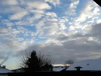 DSC03009.webp