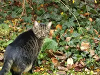 image003.webp