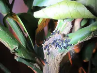 IMG_4998[1].webp