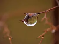 Tropfen3.webp