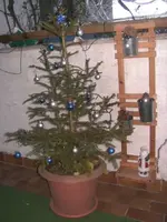 BILD8592.webp