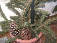 BILD8595.webp