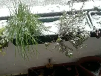 Winter 2017.jpg