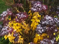 BILD8570.webp