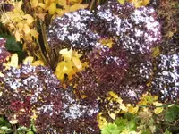 BILD8571.webp