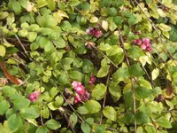 BILD8575.webp