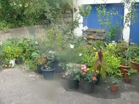 P1120570.webp