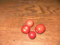 BILD8600.webp