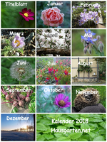 November 2017 typische Novemberstimmung Kalender 2018 - Copy - Copy - Copy - Copy.webp