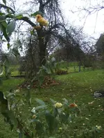 BILD8608.webp