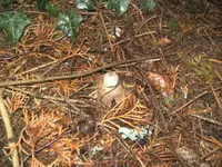 BILD8611.webp