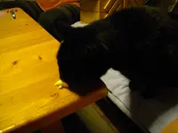 IMGP4580.webp