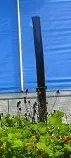 Dusche.webp