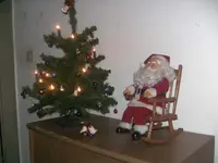 BILD8596.webp