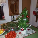 20171207_212651.webp