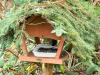 image004.webp