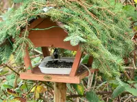 image003.webp