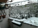 2. Advent.jpg