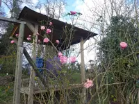 P1110190.webp