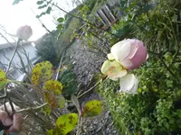 P1110219.webp