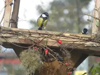 P1110309.webp