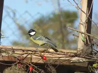 P1110327.webp