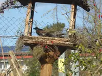 P1110383.webp