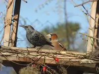 P1110393.webp