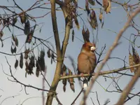 P1110502.webp