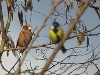 P1110503.webp
