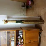 20171209_203357.webp