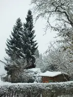 DSCF0705 (2).webp
