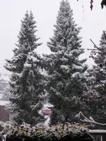 P1080286.webp