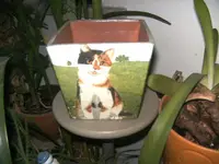 BILD8651.webp