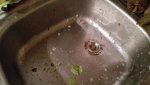 IMG_20171210_194552.jpg