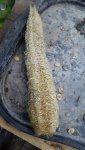 IMG_20171201_155410.jpg