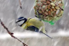 DSCN0070a.webp