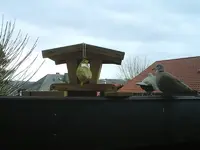 DSCF0008.webp