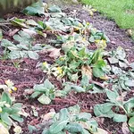 20171212_152000.webp