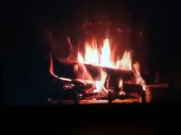 1513094326974478985347.webp