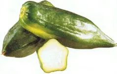 Grüne Frucht.webp