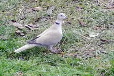 DSCN2648.webp