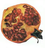 Granatapfel.webp