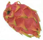 Pitaya o.Pitahaya.jpg