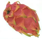 Pitaya o.Pitahaya.webp