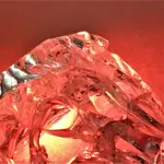 2017red02.jpg