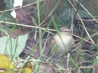 P1120170.webp
