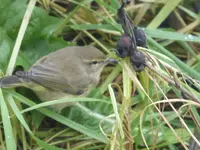 P1120190.webp